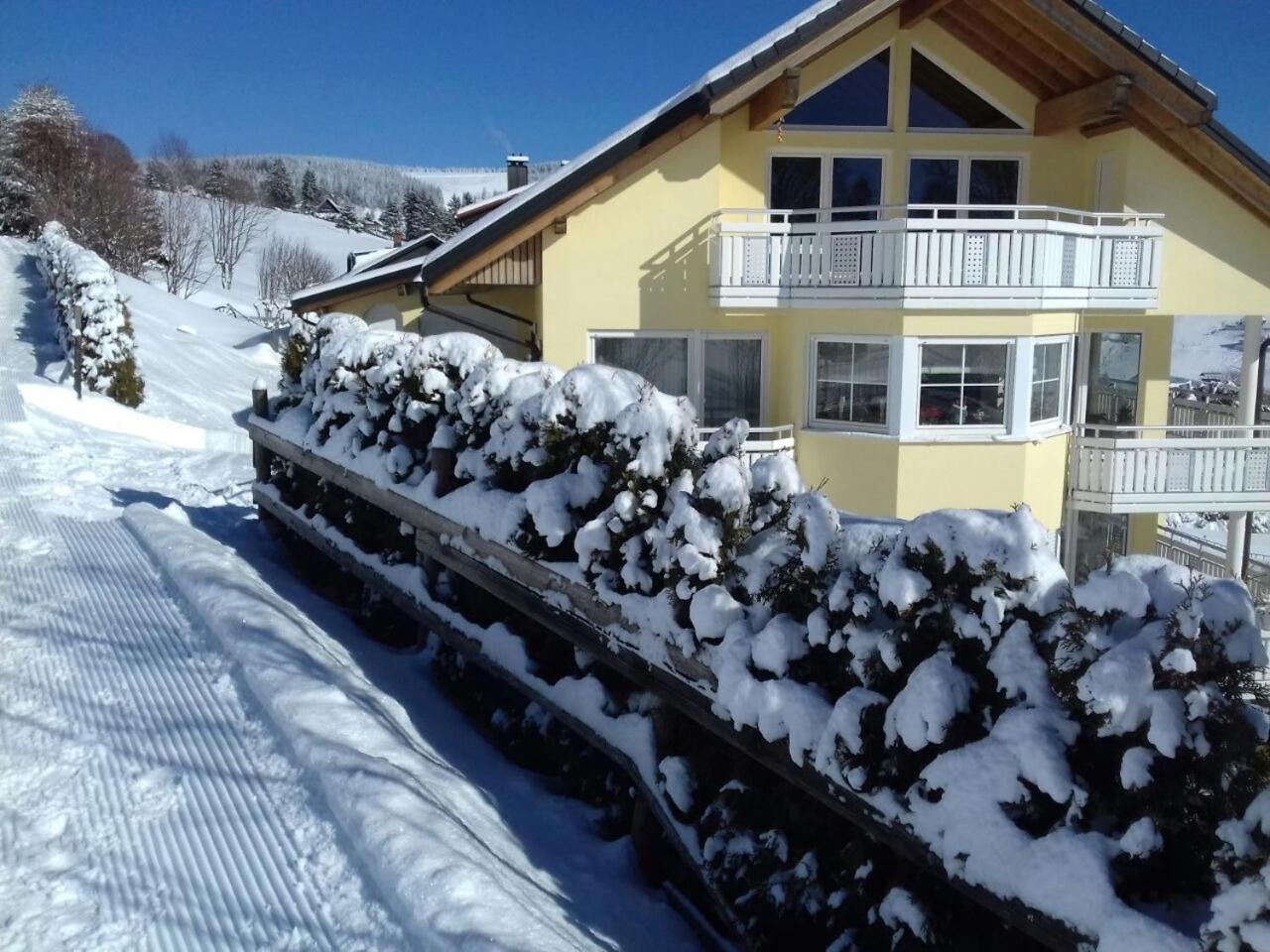 "Schwarzwaldblick" Ferienwohnung 2-4 Pers 65Qm, Schoene Ruhige Suedhanglage Mit Herrl Aussicht Todtnau Kültér fotó