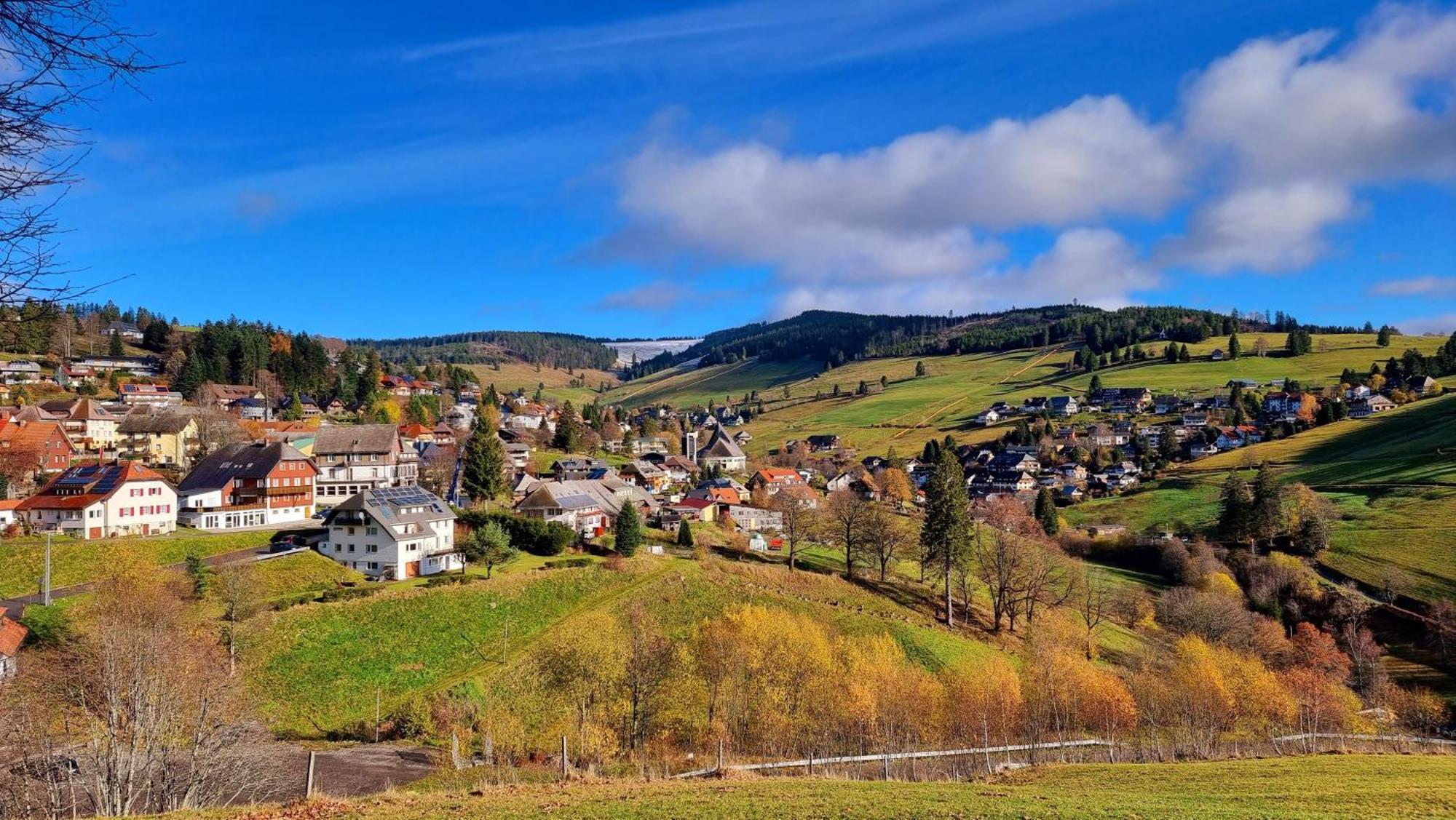 "Schwarzwaldblick" Ferienwohnung 2-4 Pers 65Qm, Schoene Ruhige Suedhanglage Mit Herrl Aussicht Todtnau Kültér fotó