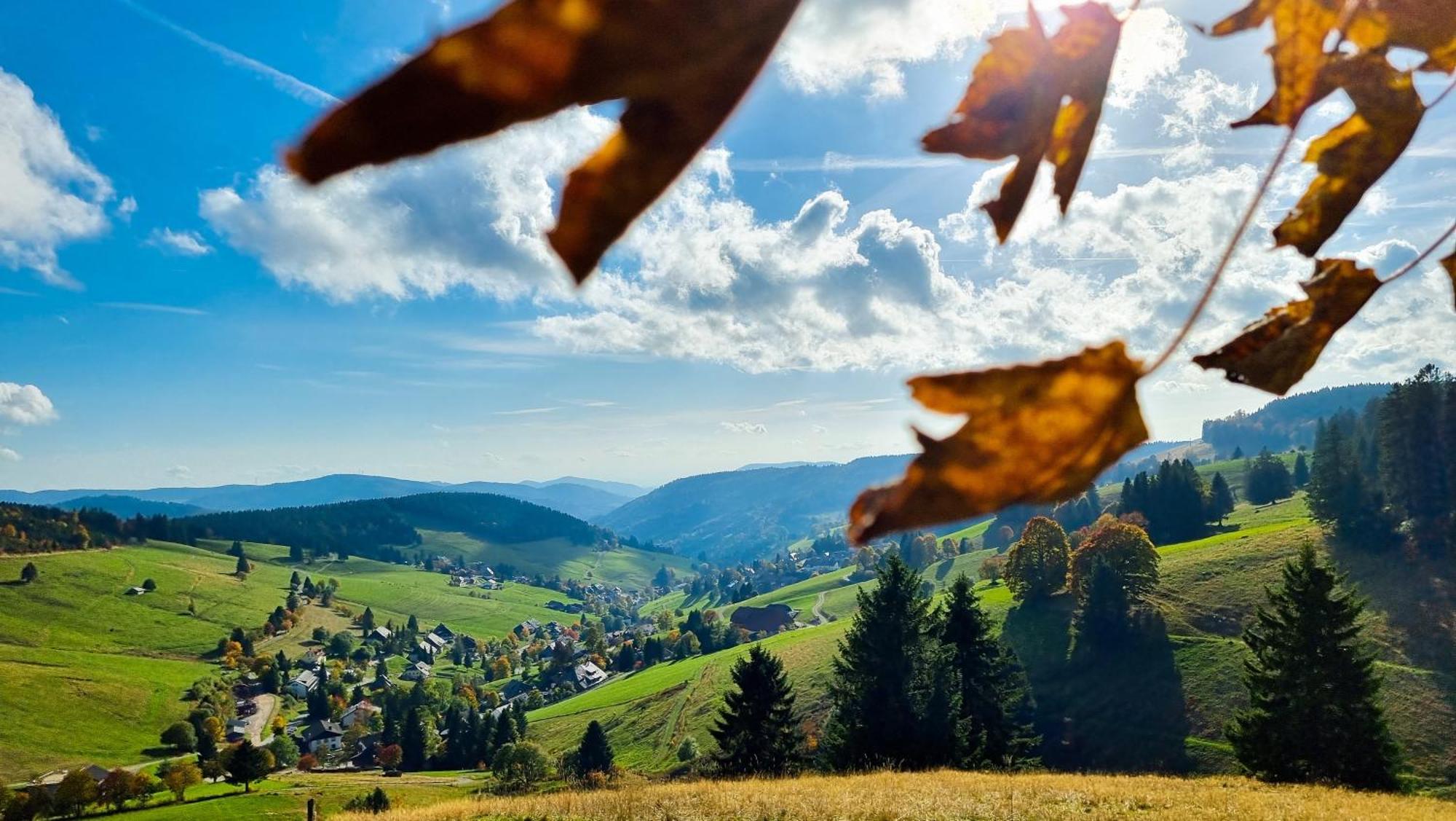 "Schwarzwaldblick" Ferienwohnung 2-4 Pers 65Qm, Schoene Ruhige Suedhanglage Mit Herrl Aussicht Todtnau Kültér fotó